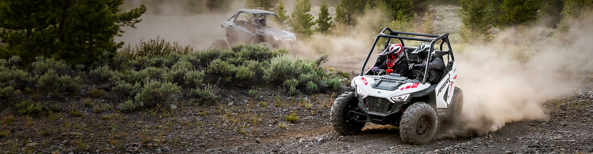 RZR® 200 EFI